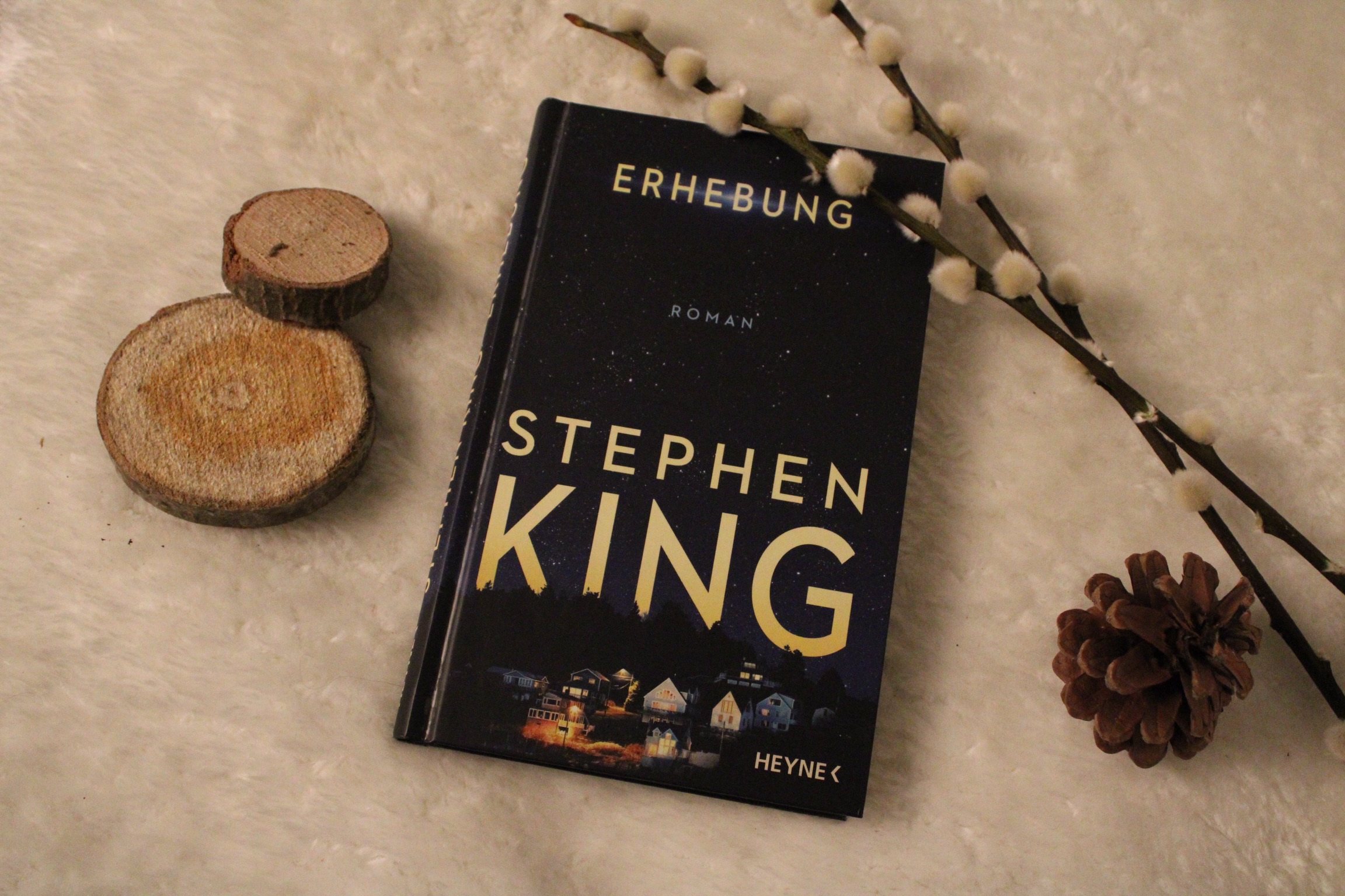 Covr von Erhebung von Stephen King